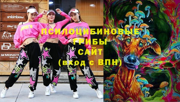 бошки Гусь-Хрустальный