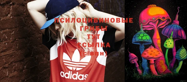 кокс Дмитровск
