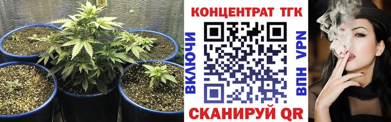 Купить  Короча  ТГК Wax 