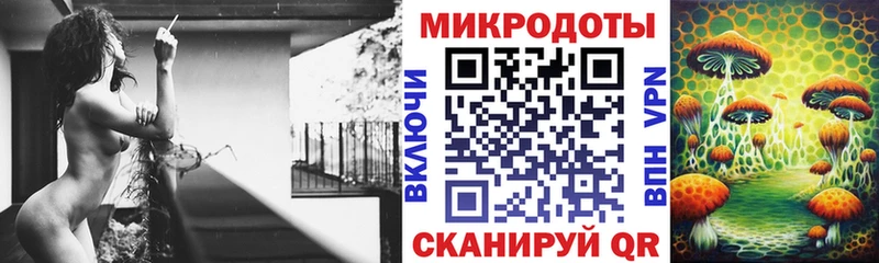 Псилоцибиновые грибы Cubensis  Купить закладки  Короча 